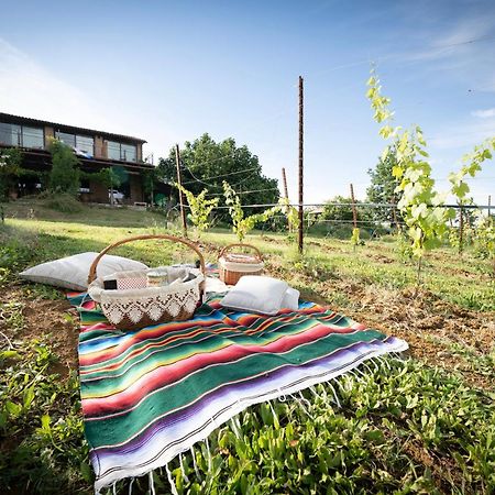 La Ca Dal Non Bioagriturismo - Alpenice Savignano sul Panaro Exterior foto