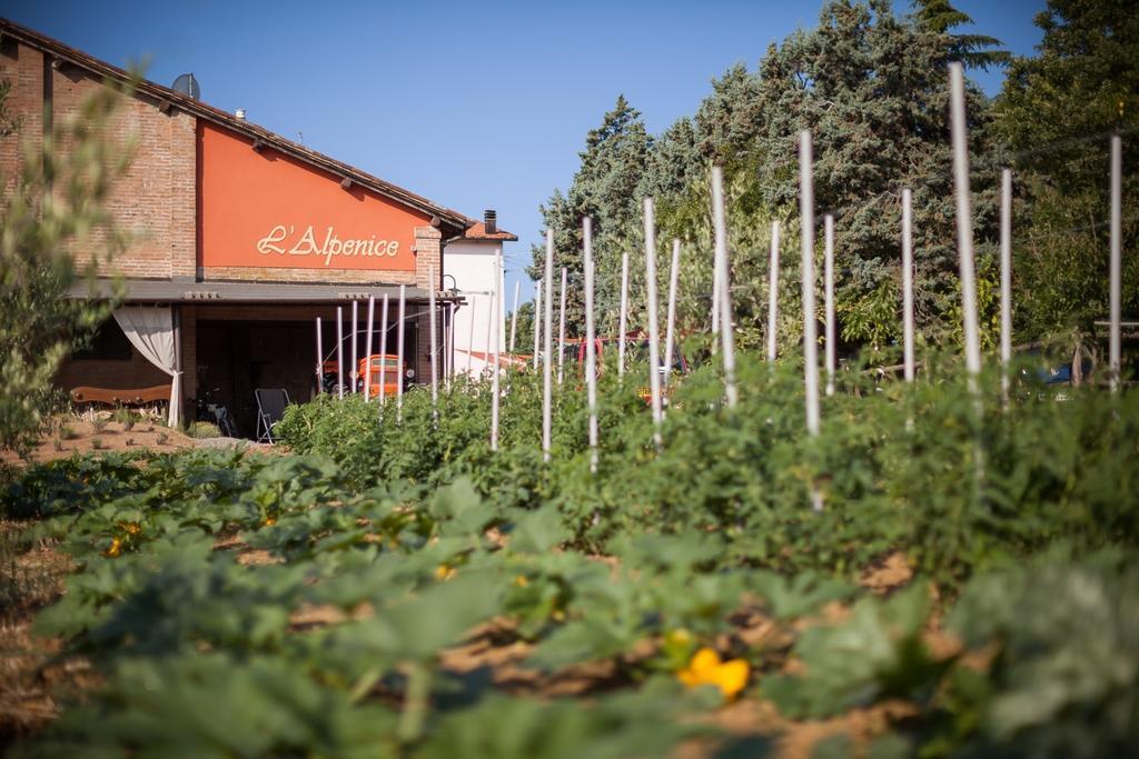 L'Alpenice Bioagriturismo Villa Savignano sul Panaro Exterior foto