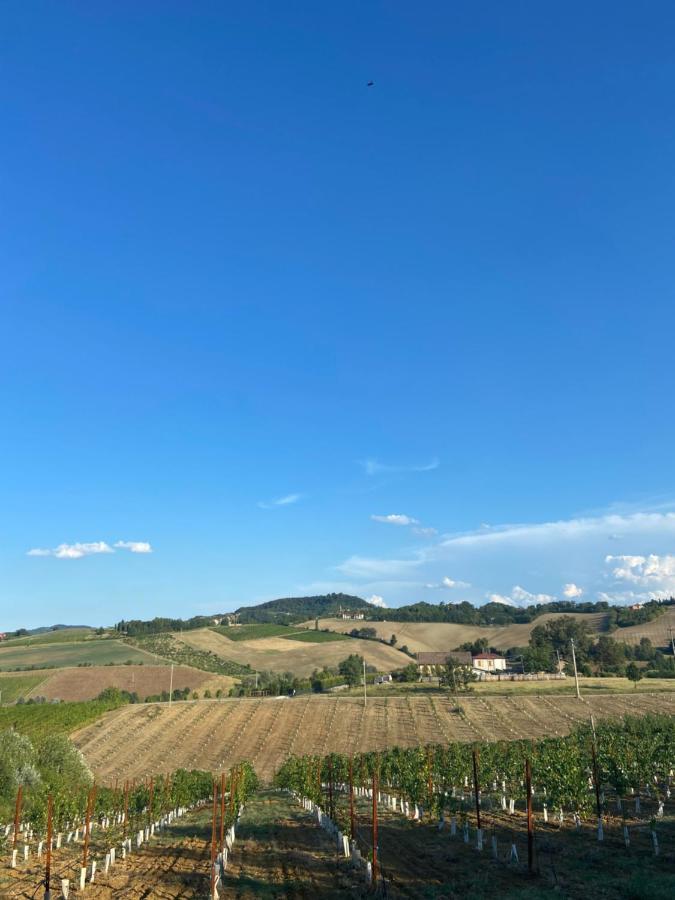 L'Alpenice Bioagriturismo Villa Savignano sul Panaro Exterior foto