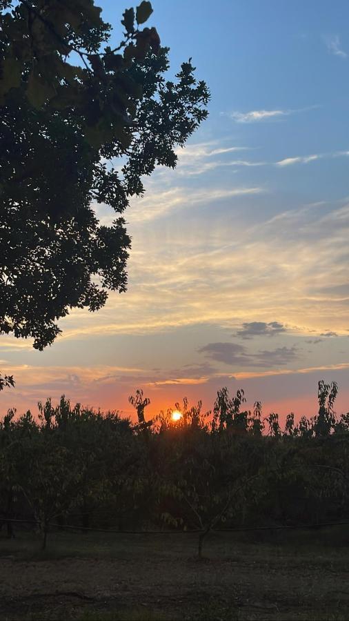 L'Alpenice Bioagriturismo Villa Savignano sul Panaro Exterior foto