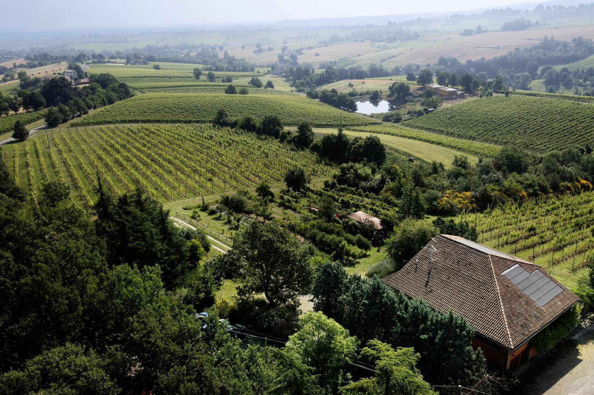 L'Alpenice Bioagriturismo Villa Savignano sul Panaro Exterior foto