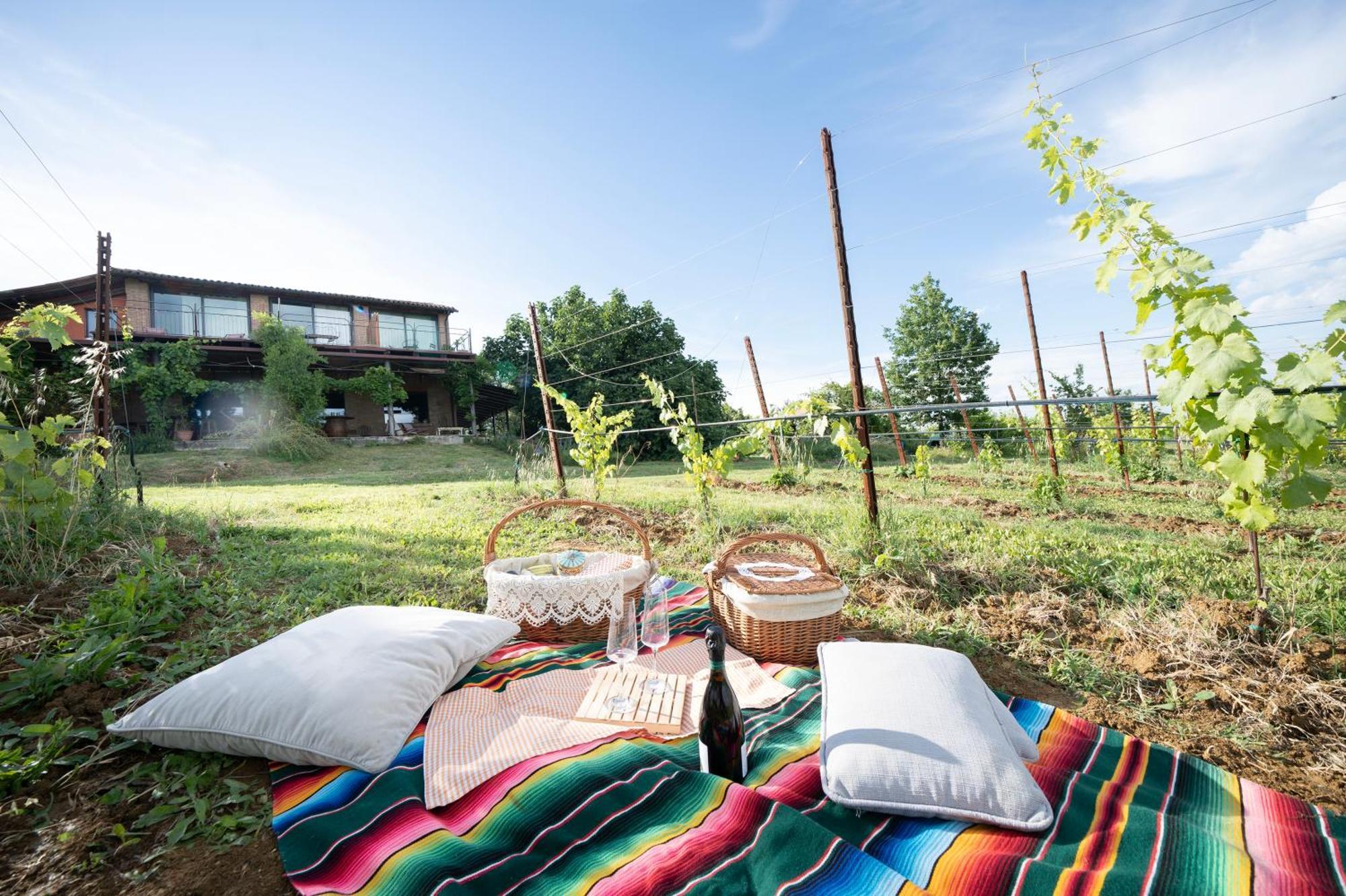 L'Alpenice Bioagriturismo Villa Savignano sul Panaro Exterior foto