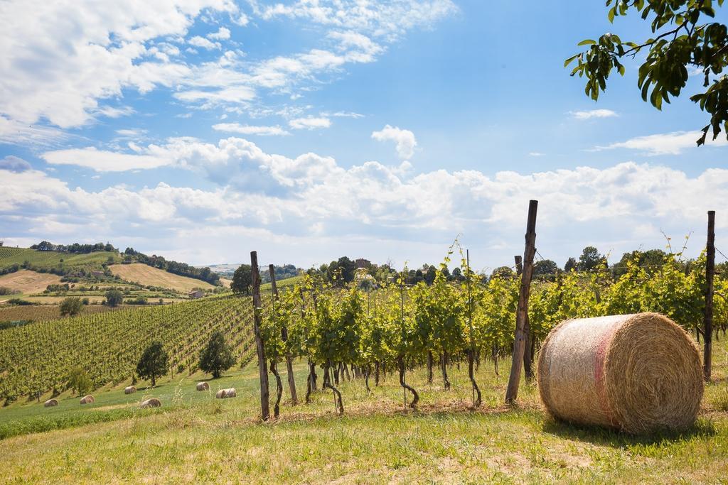 L'Alpenice Bioagriturismo Villa Savignano sul Panaro Exterior foto